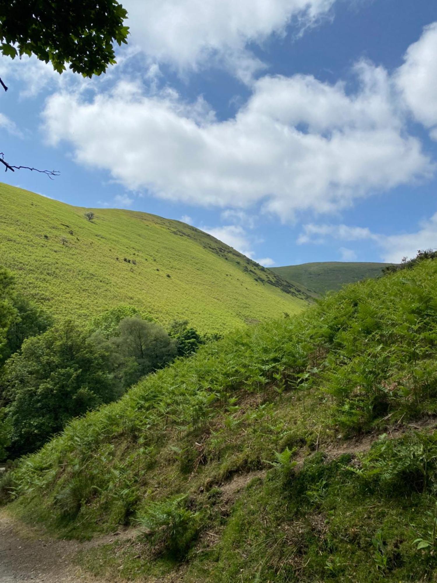 Pass The Keys Quaint 1 Bedroom Cottage In Church Stretton Eksteriør billede